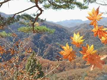 池嘉瑞