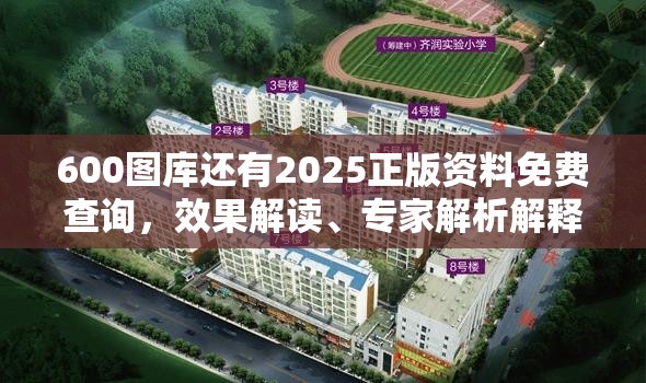 600图库还有2025正版资料免费查询，效果解读、专家解析解释与落实
