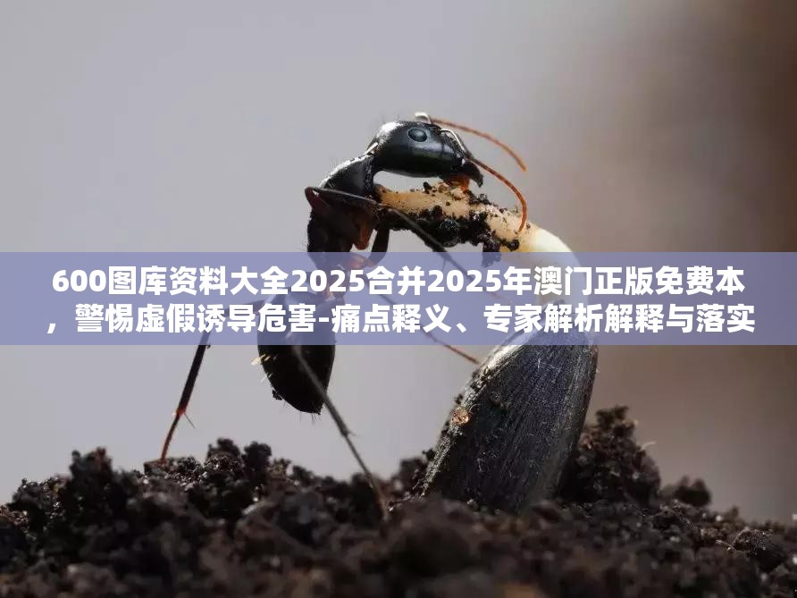 600图库资料大全2025合并2025年澳门正版免费本，警惕虚假诱导危害-痛点释义、专家解析解释与落实