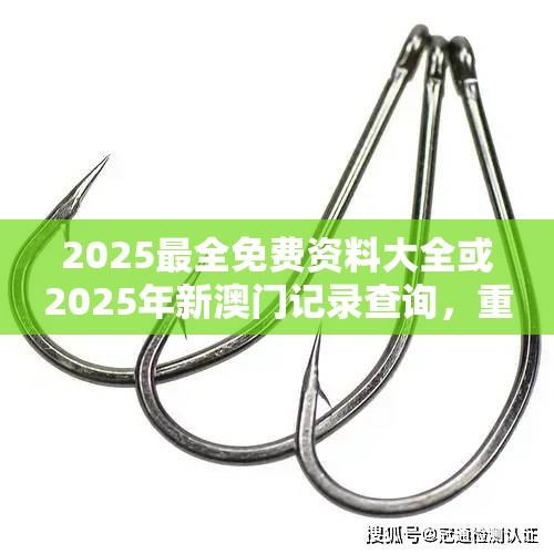 2025最全免费资料大全或2025年新澳门记录查询，重点释义、解释与落实,警惕不实的钓鱼钩