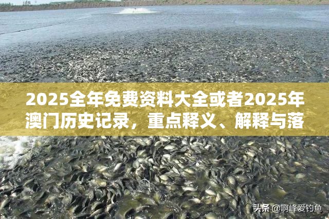 2025全年免费资料大全或者2025年澳门历史记录，重点释义、解释与落实,警惕不实的钓鱼钩