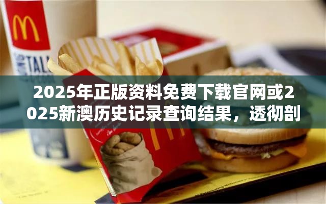 2025年正版资料免费下载官网或2025新澳历史记录查询结果，透彻剖析、解释与落实-抵制不实的假包装