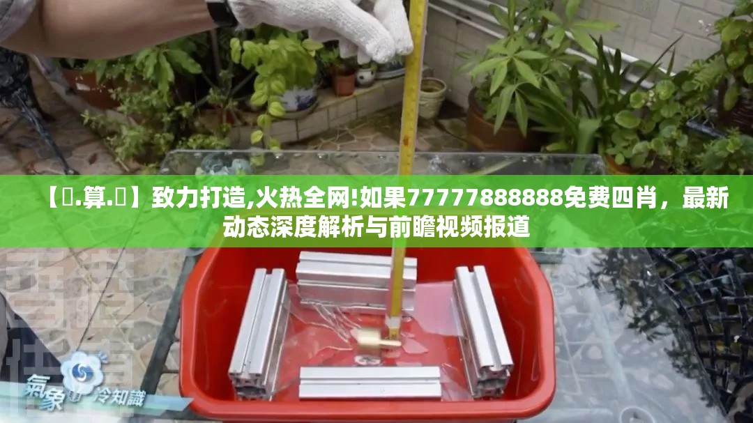 【鐵.算.盤】致力打造,火热全网!如果77777888888免费四肖，最新动态深度解析与前瞻视频报道