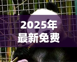邓康适