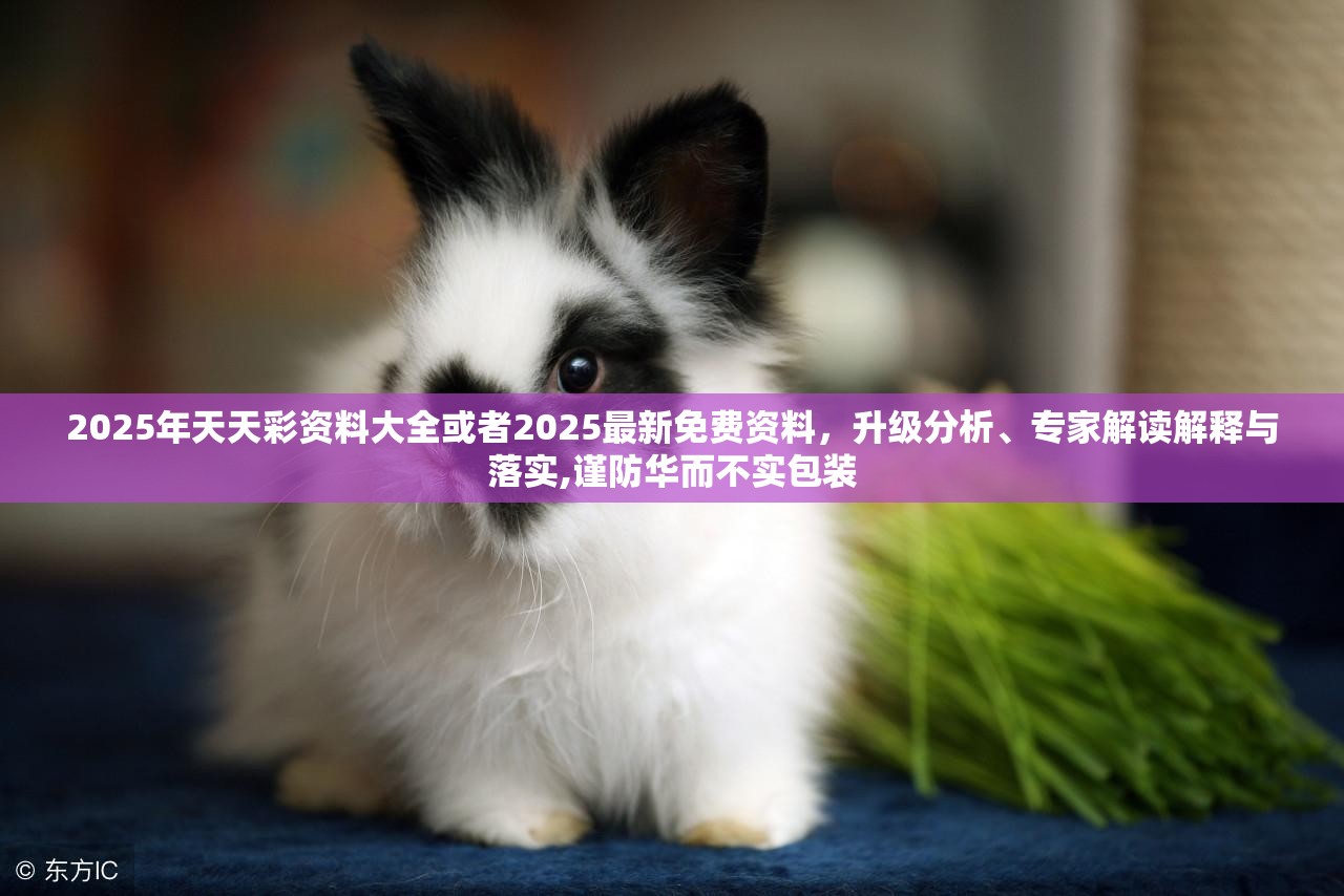2025年天天彩资料大全或者2025最新免费资料，升级分析、专家解读解释与落实,谨防华而不实包装
