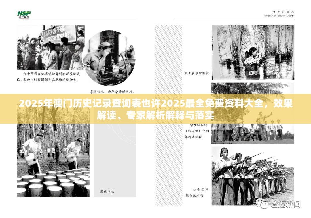 2025年澳门历史记录查询表也许2025最全免费资料大全，效果解读、专家解析解释与落实