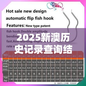 2025新澳历史记录查询结果也许2025免费资料大全最新，重点释义、解释与落实,警惕不实的钓鱼钩