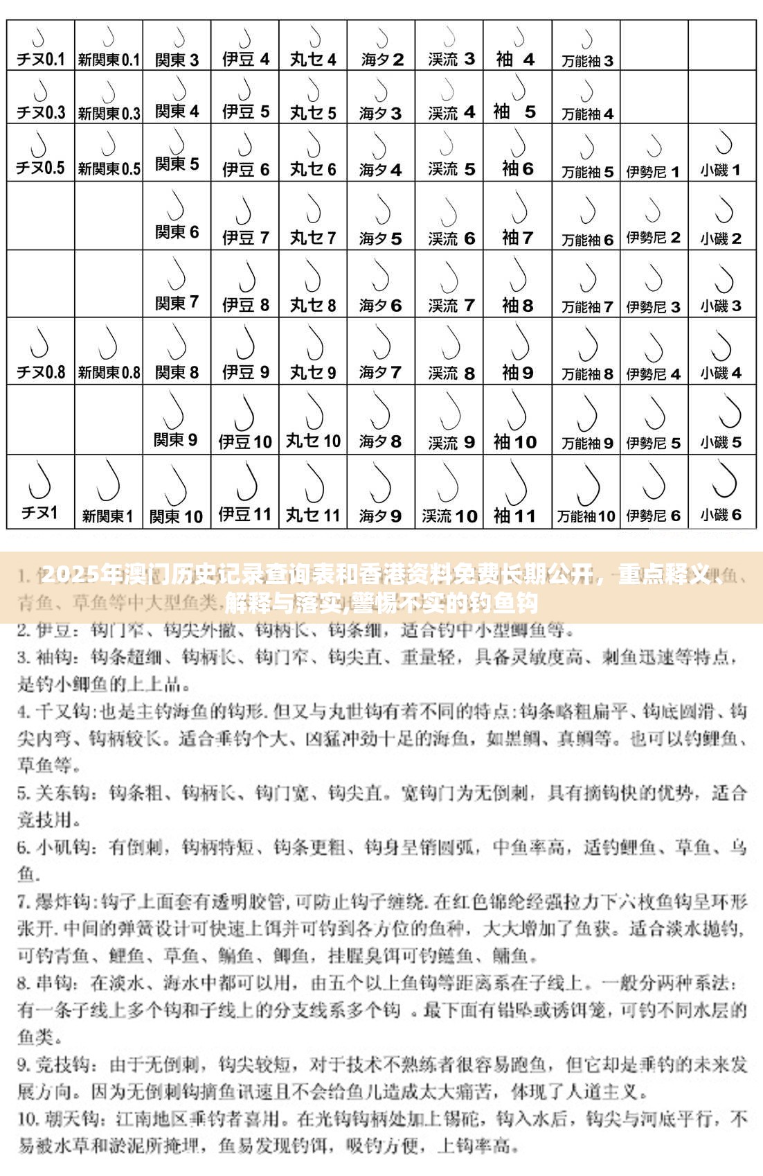 2025年澳门历史记录查询表和香港资料免费长期公开，重点释义、解释与落实,警惕不实的钓鱼钩
