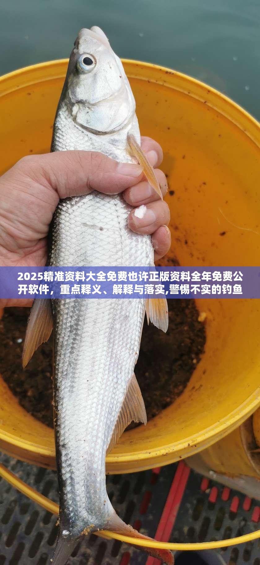 2025精准资料大全免费也许正版资料全年免费公开软件，重点释义、解释与落实,警惕不实的钓鱼钩