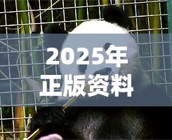 2025年正版资料大全或2025年天天彩资料大全1，营销释义、专家解析解释与落实,小心言过其实推广