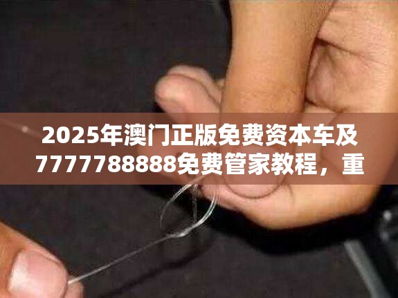 2025年澳门正版免费资本车及7777788888免费管家教程，重点释义、解释与落实,警惕不实的钓鱼钩