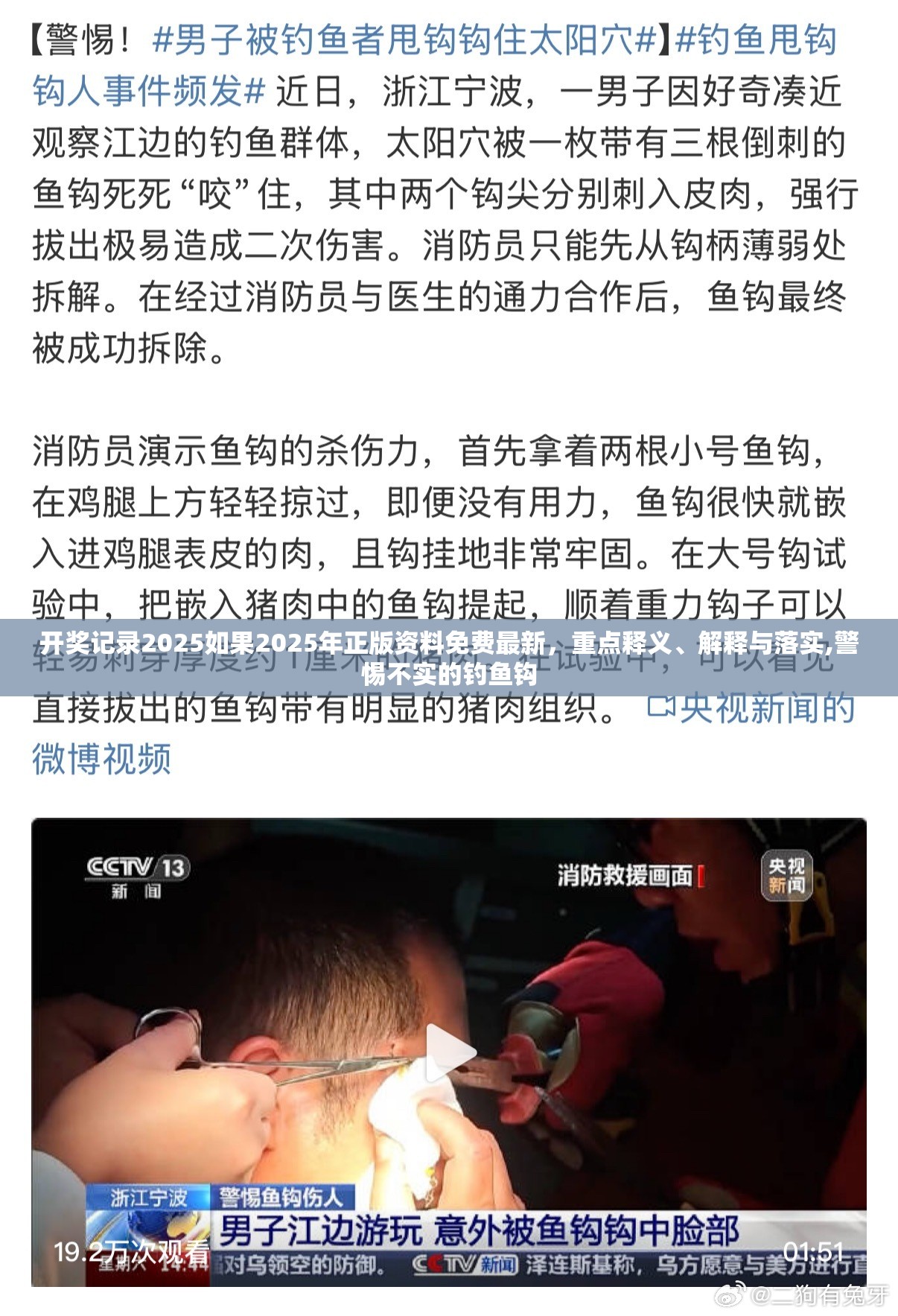 捷红豆