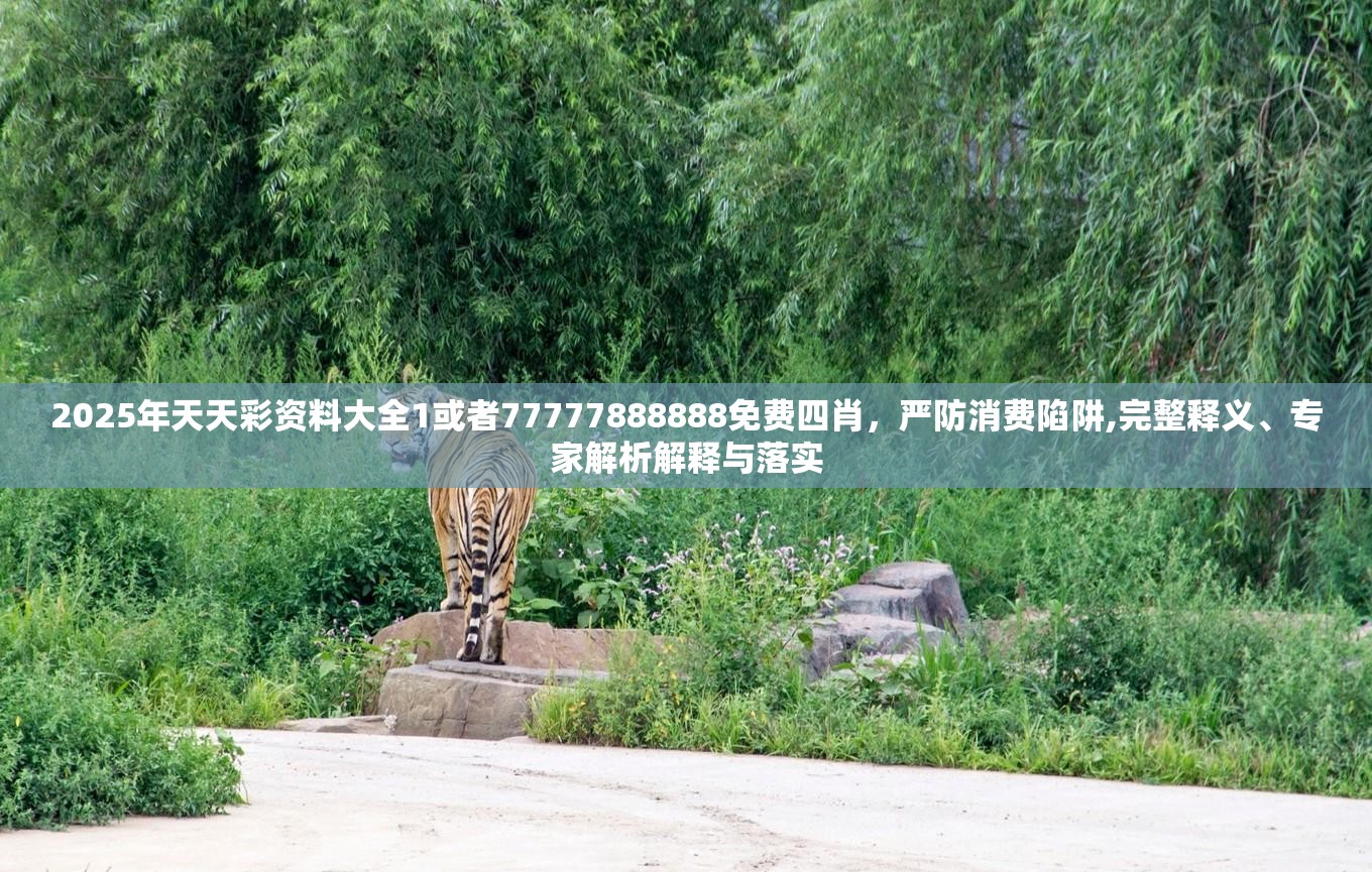 2025年天天彩资料大全1或者77777888888免费四肖，严防消费陷阱,完整释义、专家解析解释与落实