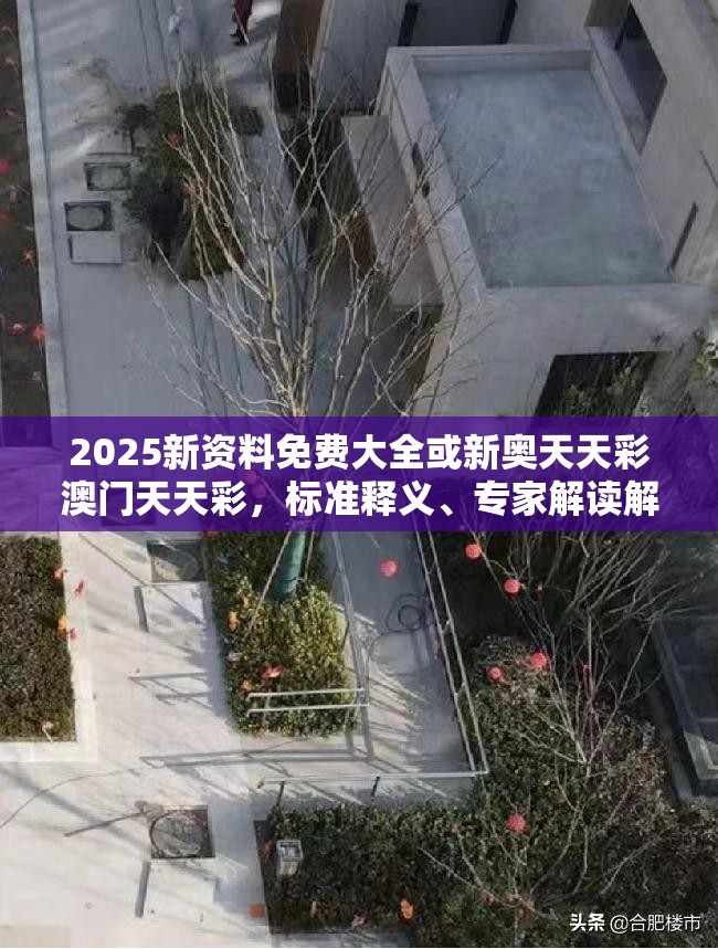 2025新资料免费大全或新奥天天彩澳门天天彩，标准释义、专家解读解释与落实?留心虚假的虚架势