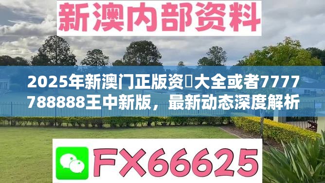2025年新澳门正版资枓大全或者7777788888王中新版，最新动态深度解析与前瞻视频报道