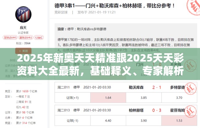 2025年新奥天天精准跟2025天天彩资料大全最新，基础释义、专家解析解释与落实?杜绝虚假诱导词
