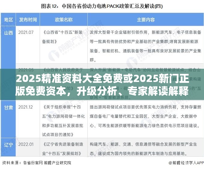 2025精准资料大全免费或2025新门正版免费资本，升级分析、专家解读解释与落实,谨防华而不实包装